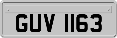 GUV1163