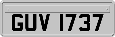 GUV1737