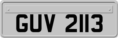 GUV2113