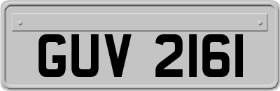 GUV2161