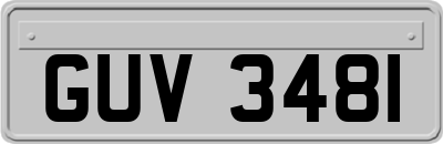 GUV3481