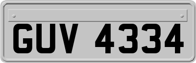 GUV4334