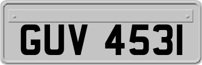 GUV4531