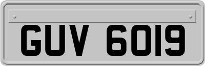 GUV6019