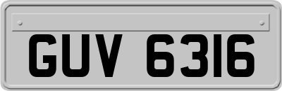 GUV6316