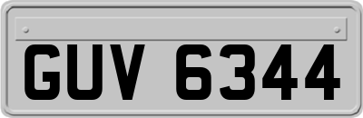 GUV6344