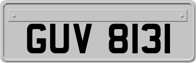 GUV8131