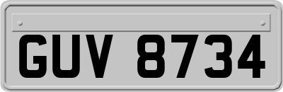 GUV8734