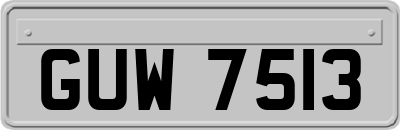 GUW7513