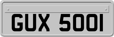 GUX5001