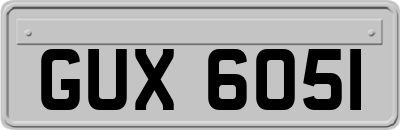 GUX6051