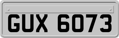 GUX6073