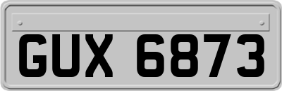 GUX6873