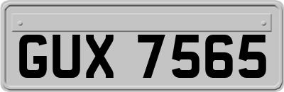 GUX7565