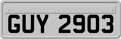 GUY2903