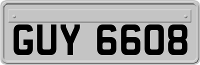 GUY6608
