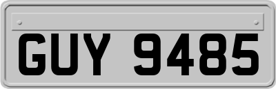 GUY9485
