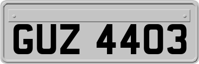 GUZ4403