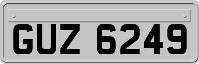 GUZ6249