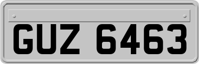 GUZ6463