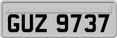 GUZ9737