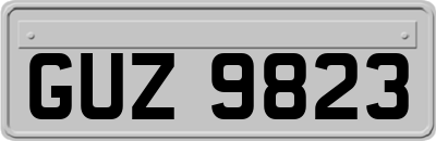 GUZ9823