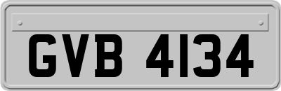 GVB4134