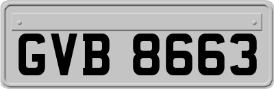 GVB8663