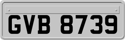 GVB8739