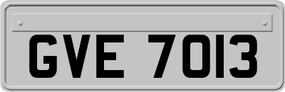 GVE7013