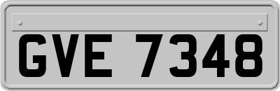 GVE7348