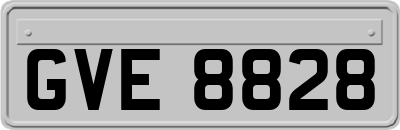 GVE8828
