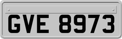 GVE8973