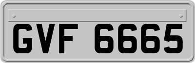 GVF6665