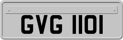 GVG1101