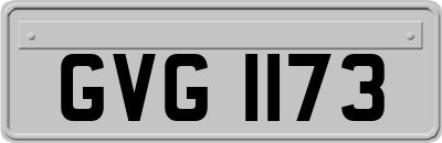 GVG1173
