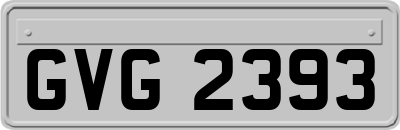 GVG2393