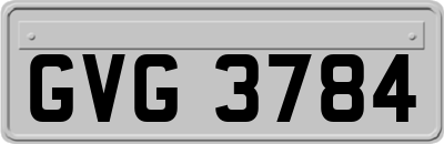 GVG3784