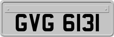 GVG6131