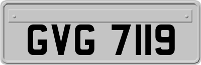 GVG7119