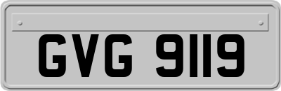GVG9119