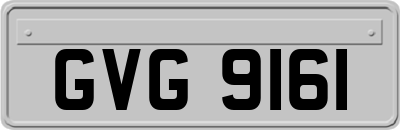 GVG9161