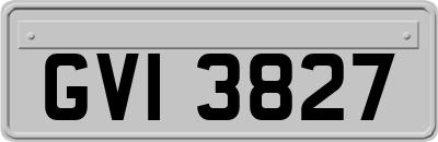 GVI3827