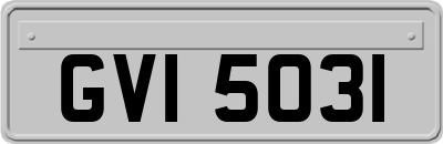 GVI5031