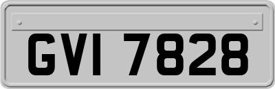 GVI7828
