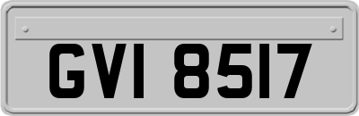 GVI8517