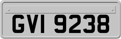 GVI9238