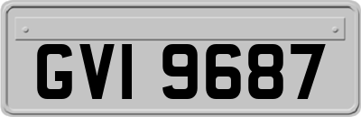 GVI9687