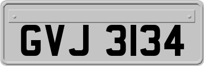 GVJ3134