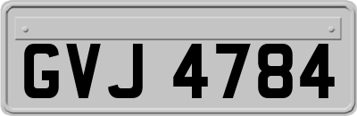 GVJ4784